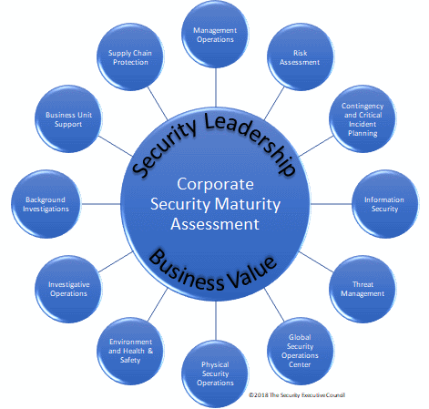 graphic showing how security functions relate to the security maturity assessment